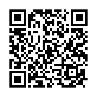 QR code for downloading the SIAE brochure